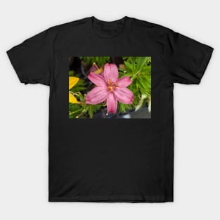 Pink Star Flower T-Shirt